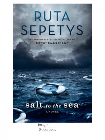 Salt to the Sea Book Review