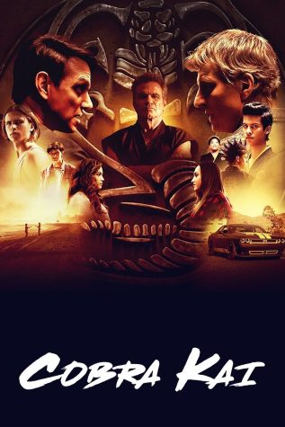Cobra Kai: To Watch or Not to Watch