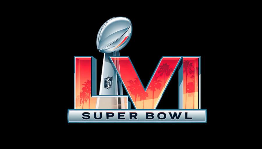 Who Will Win The Super Bowl?!